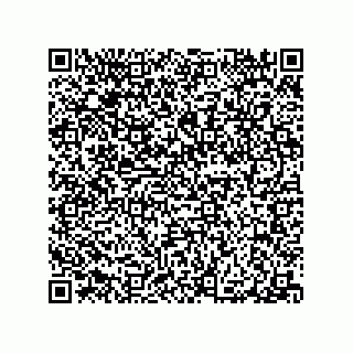 vCard 79290380321