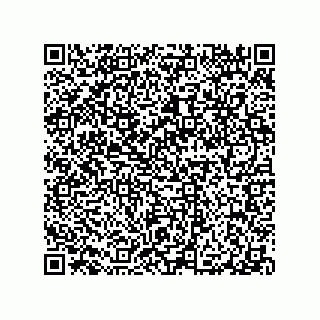 vCard 79290380323