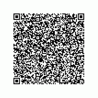 vCard 79290380330