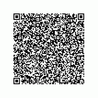 vCard 79290380332