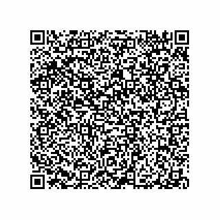 vCard 79290380333