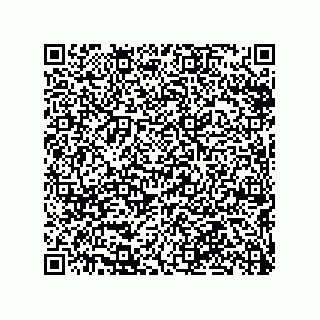 vCard 79290380334