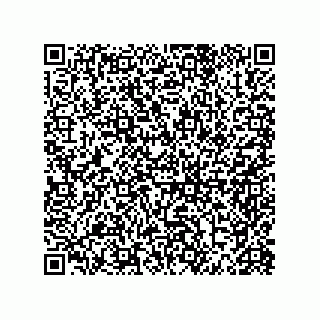 vCard 79290380335