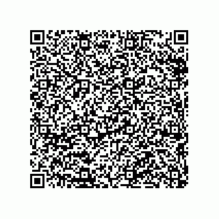 vCard 79290380337