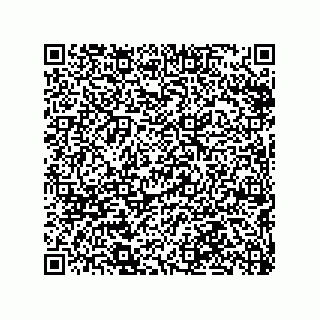 vCard 79290380338
