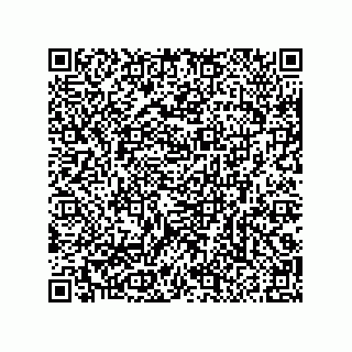 vCard 79290380339