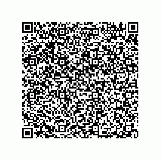 vCard 79290380343