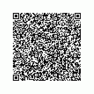 vCard 79290380349