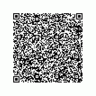 vCard 79290380351