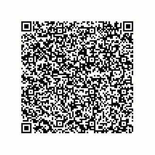 vCard 79290380370