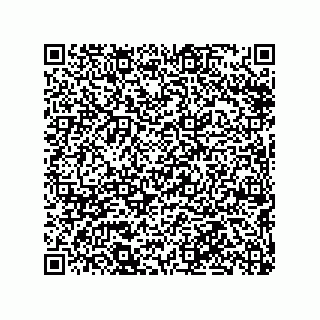 vCard 79290380381