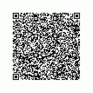 vCard 79290380385