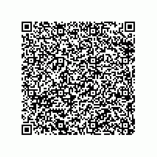 vCard 79290380387