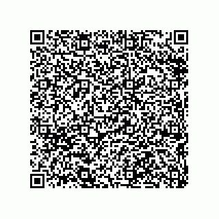 vCard 79290380389