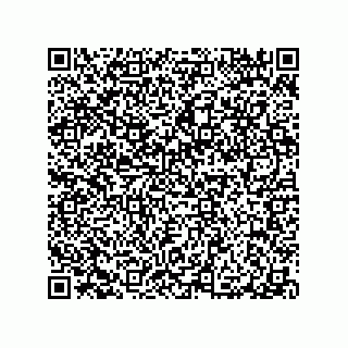 vCard 79290380393