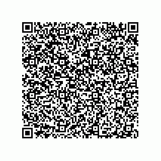 vCard 79290380397