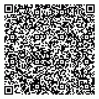 vCard 79290900003