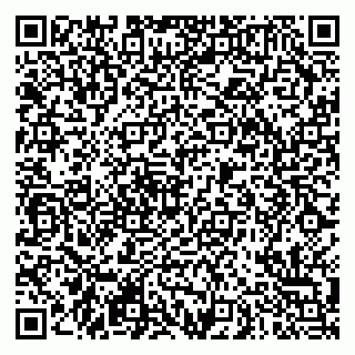 vCard 79290900004