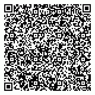 vCard 79290900005