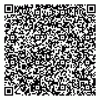 vCard 79290900013