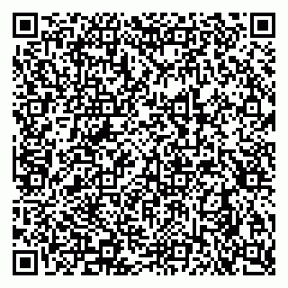 vCard 79290900021