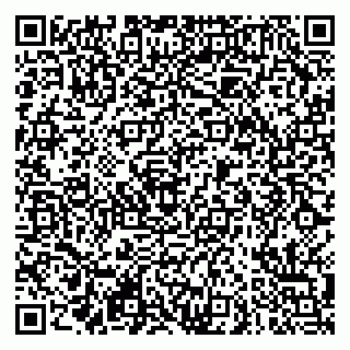 vCard 79290900025