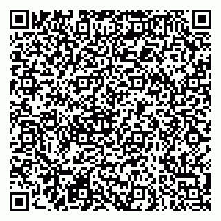 vCard 79290900029