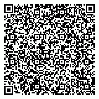 vCard 79290900032