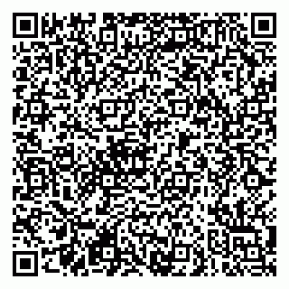 vCard 79290900033