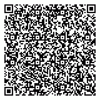 vCard 79290900036