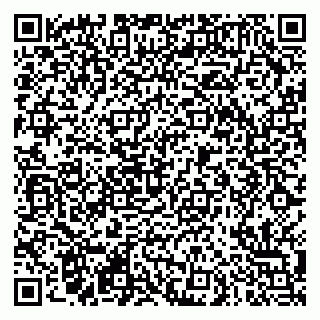 vCard 79290900040