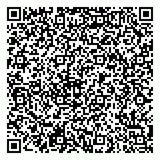 vCard 79290900041