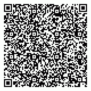 vCard 79290900051
