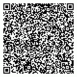 vCard 79290900053
