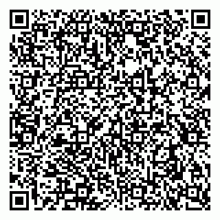 vCard 79290900062