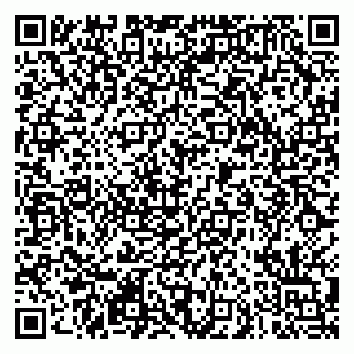 vCard 79290900063