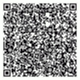 vCard 79290900065