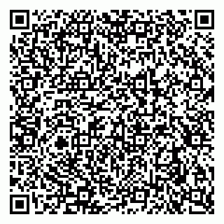 vCard 79290900073
