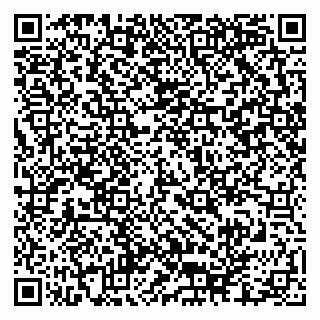 vCard 79290900087