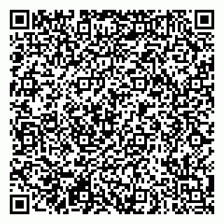 vCard 79290900103