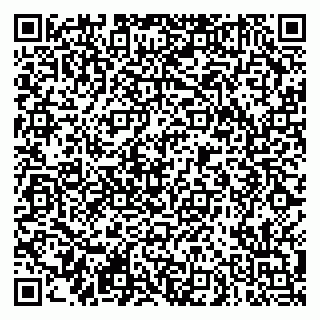 vCard 79290900113