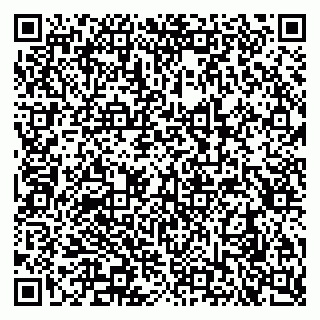 vCard 79290900124