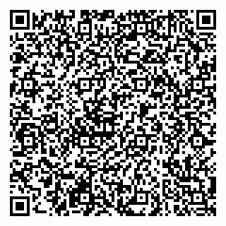 vCard 79290900130