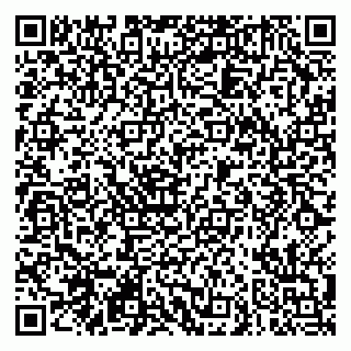 vCard 79290900131