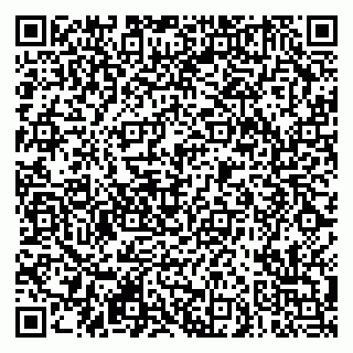 vCard 79290900132