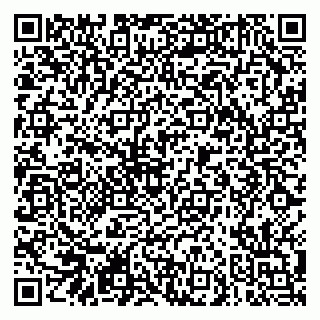 vCard 79290900133