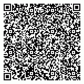 vCard 79290900137