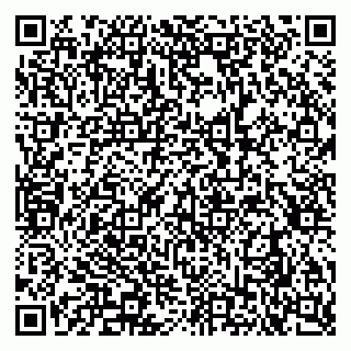 vCard 79290900138