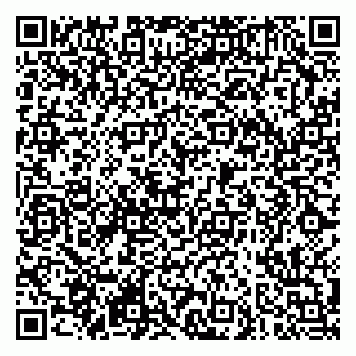 vCard 79290900139