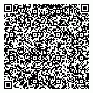 vCard 79290900140